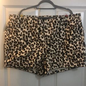 Torrid cheetah print shorts. Size 26